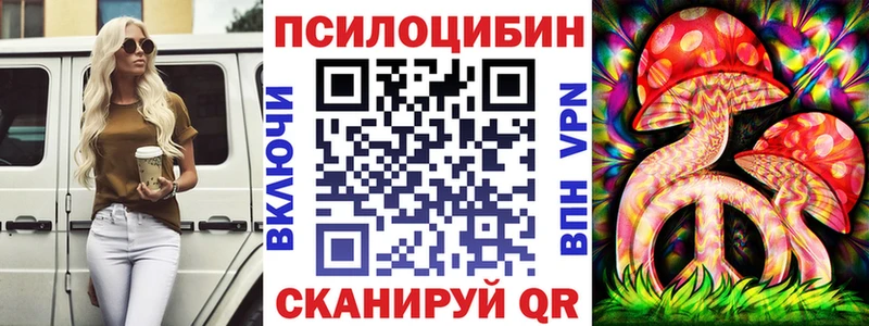 как найти закладки  Обоянь  Псилоцибиновые грибы Psilocybine cubensis 
